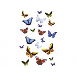 Dekoracja łazienkowa Kleine Wolke Butterfly S