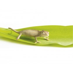 Dekoracja łazienkowa Kleine Wolke Chameleon Slim