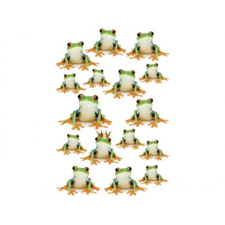 Dekoracja łazienkowa Kleine Wolke Frogs L