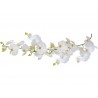Dekoracja łazienkowa Kleine Wolke Orchid Slim