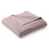 Koc bawełniany Biederlack Uno Cotton Rosa 150x200