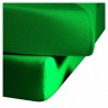 Prześcieradło Fleuresse Colours z gumką Grass Green