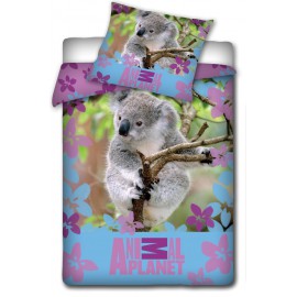 Pościel Miś Koala Animal Planet 160x200 Contra